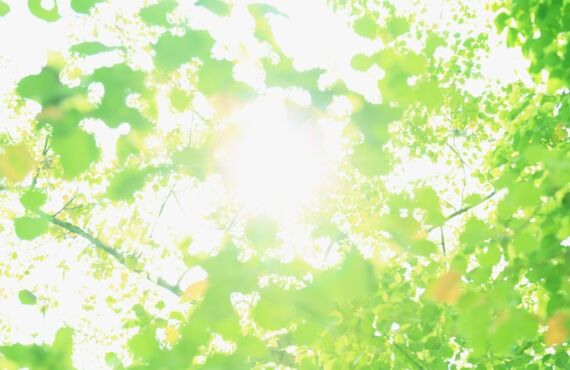 人気の平屋住宅について